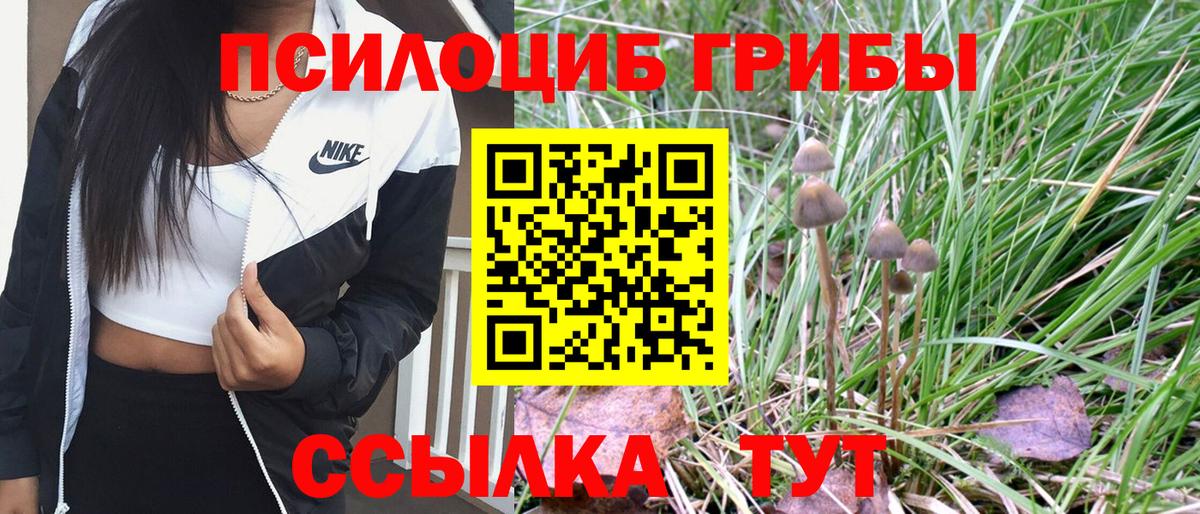 Псилоцибиновые грибы Magic Shrooms Миллерово