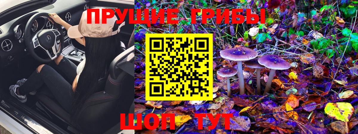 Галлюциногенные грибы Magic Shrooms  наркошоп  Галлюциногенные грибы мицелий  Миллерово  Вход с VPN 
